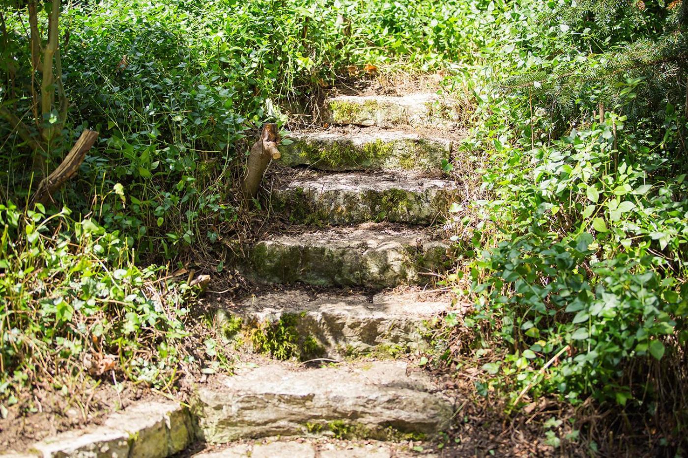 Schloss Suggenstein ジクマリンゲン エクステリア 写真
